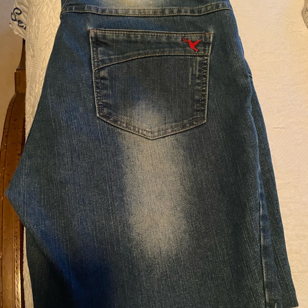 Beija-Flor Blue Flare Jeans with Red Accent